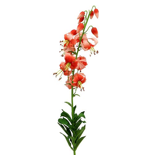 Floristik24 Lily 87.5cm zalm