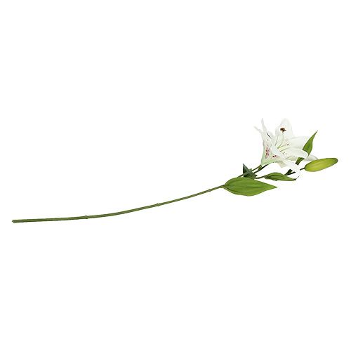 Floristik24 Lelie Wit 66cm