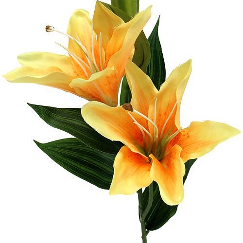 Floristik24 Kunstlelie oranje L66cm 1 st