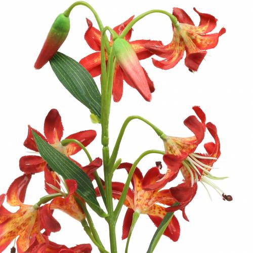 Floristik24 Lelie oranje 82cm