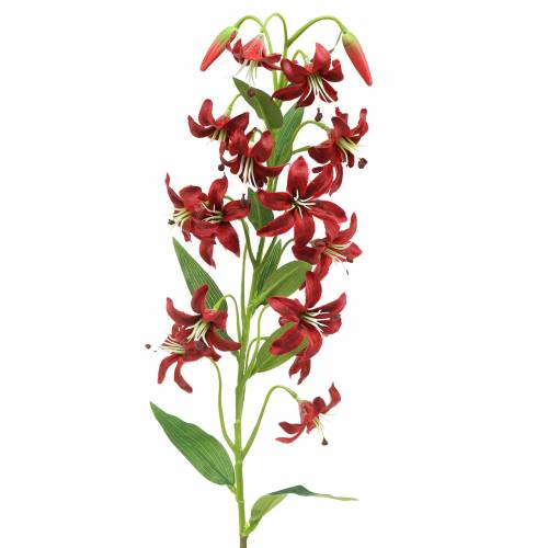 Floristik24 Lelie rood 82cm