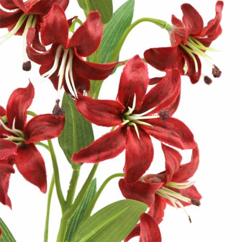 Floristik24 Lelie rood 82cm