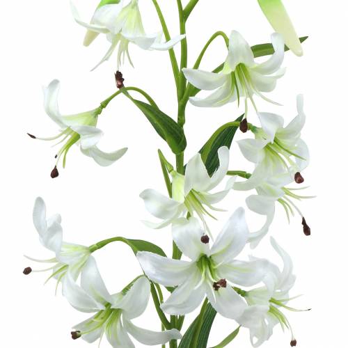Floristik24 Lelie wit 82cm