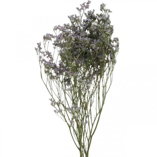 Floristik24 Droogbloemen, Zeelavendel, Statice Tatarica, Zeelavendel, Limoniumviolet L45–50cm 30g