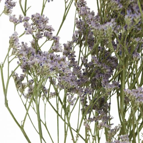 Floristik24 Droogbloemen, Zeelavendel, Statice Tatarica, Zeelavendel, Limoniumviolet L45–50cm 30g