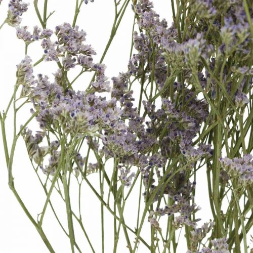 Artikel Droogbloemen, Zeelavendel, Statice Tatarica, Zeelavendel, Limoniumviolet L45–50cm 30g