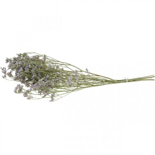 Floristik24 Droogbloemen, Zeelavendel, Statice Tatarica, Zeelavendel, Limoniumviolet L45–50cm 30g