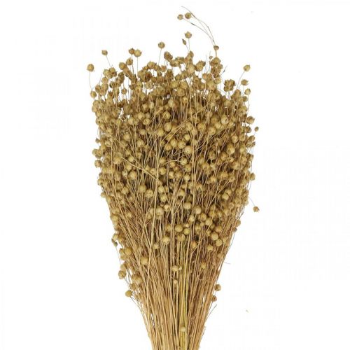 Floristik24 Natuurlijk vlas, grassen voor droge bloemisterij, Linum natuurproduct 160g