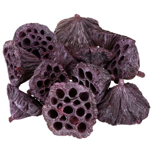 Artikel Lotuscapsules, droogbloemisterij, lotusbol roze, gewassen wit 50 stuks