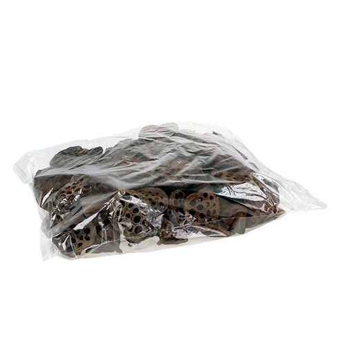 Artikel Lotusfles medium 100 stuks naturel
