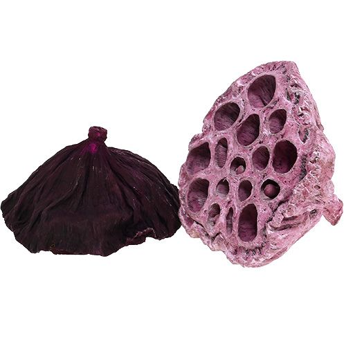Artikel Lotus Mix Roze, Erika Ø6cm - Ø10cm 50 st