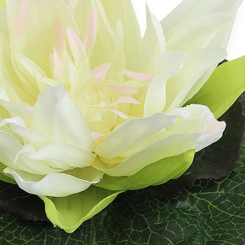 Floristik24 Lotusbloem drijvend 18cm wit 3st