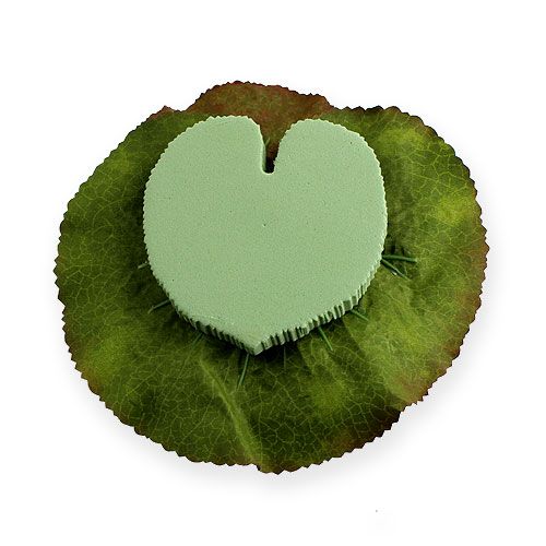 Floristik24 Lotusbloem drijvend 18cm wit 3st