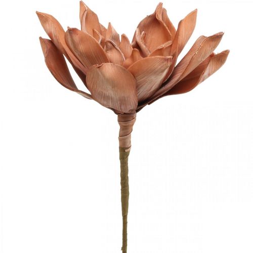 Floristik24 Lotusbloem Kunstplant Lotus Kunstbloem Bruin L64cm