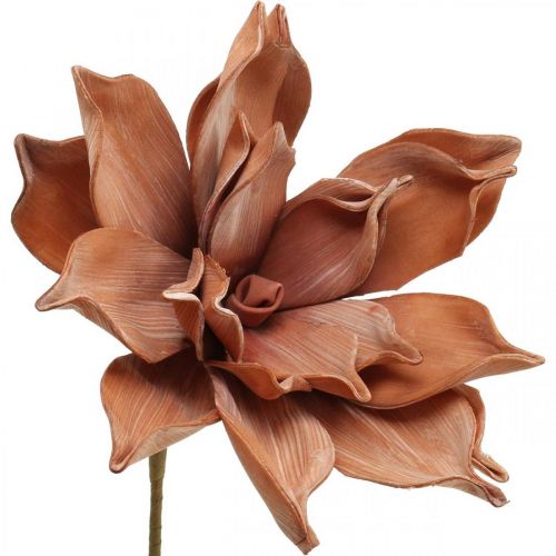 Floristik24 Lotusbloem Kunstplant Lotus Kunstbloem Bruin L64cm