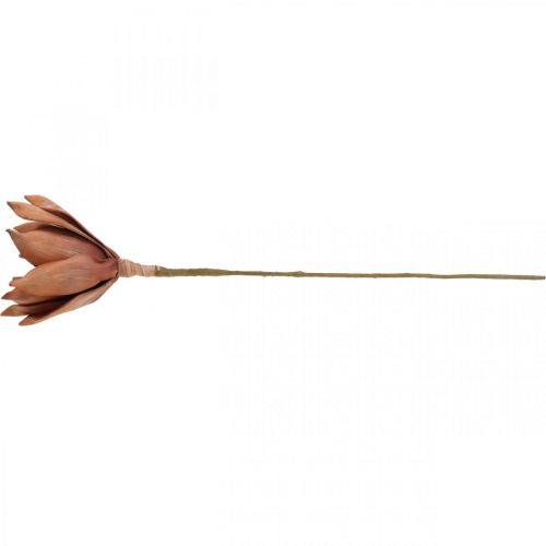 Floristik24 Lotusbloem Kunstplant Lotus Kunstbloem Bruin L64cm