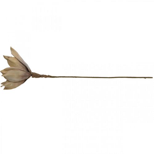 Floristik24 Lotusbloem, lotusbloesem decoratie, kunstplant beige L66cm