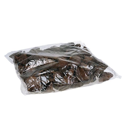 Artikel Lotusfles groot 100 stuks naturel