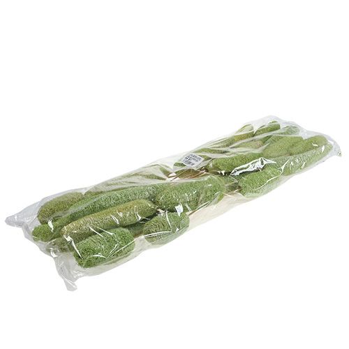 Artikel Luffa groot op stokje groen 25 st