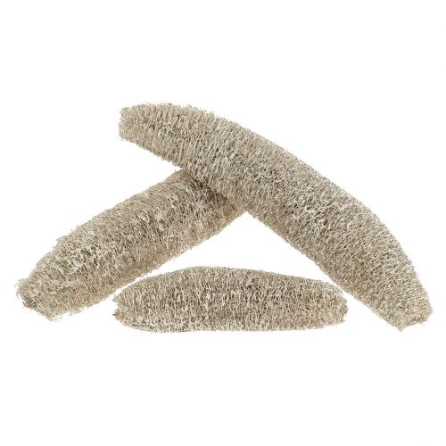 Loofah groot gewassen wit 20st