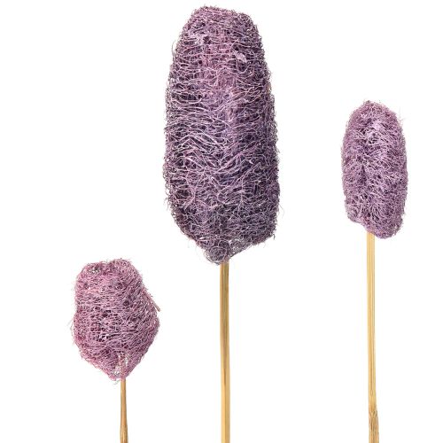 Luffa op steel kleine gedroogde decoratieve bes 5-12cm 25st