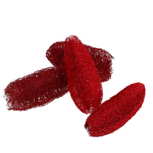 Floristik24 Loofah klein rood 50st