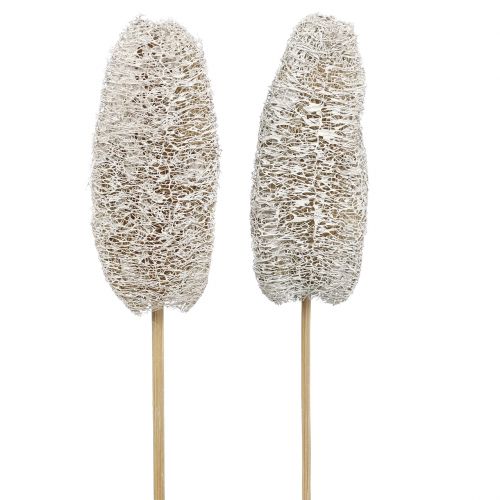 Luffa klein op een stokje white washed 25 st
