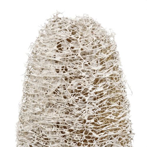 Artikel Luffa klein op een stokje white washed 25 st