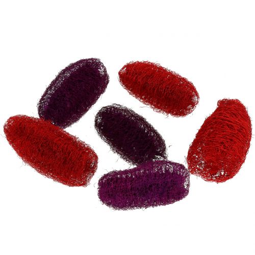 Floristik24 Loofah geassorteerde violet, wijnrood 9cm - 12cm 50p