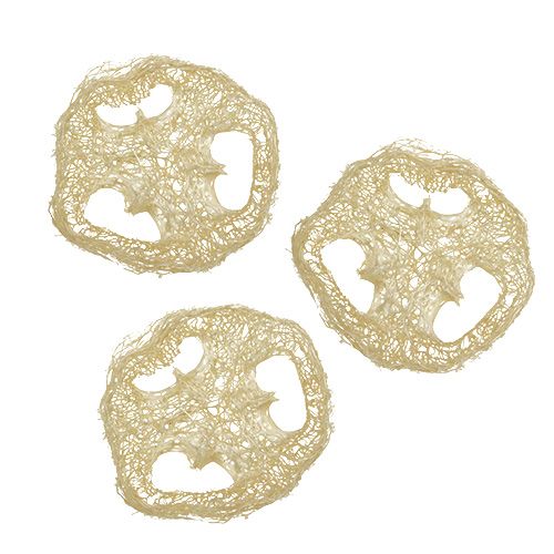 Floristik24 Luffa schijven gebleekt Ø5cm 48 st