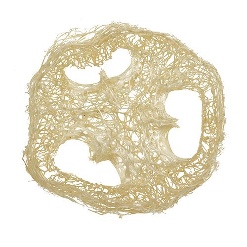 Floristik24 Luffa schijven gebleekt Ø5cm 48 st