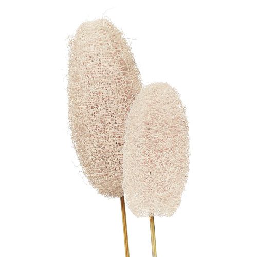 Grote luffa op stok, gebleekt, 25 stuks