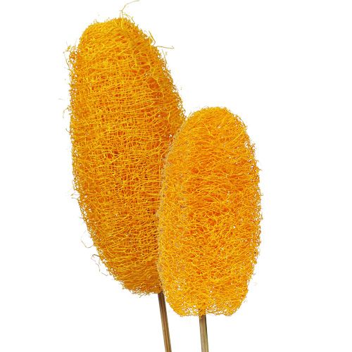 Artikel Luffa groot op stokje goudgeel 25 st