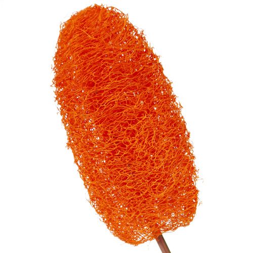 Artikel Luffa klein op stokje oranje 25 st