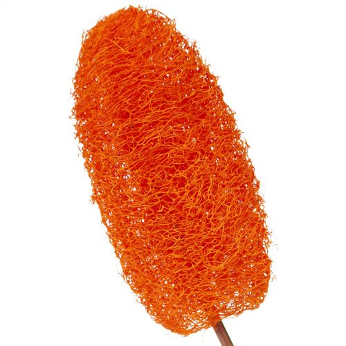 Artikel Luffa klein op een stokje Oranje 25st