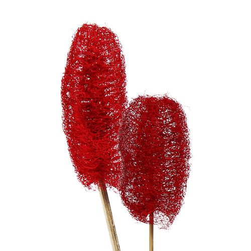 Floristik24 Luffa groot op stokje rood 25 st