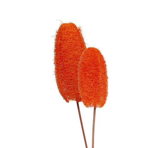 Floristik24 Luffa klein op een stokje Oranje 25st