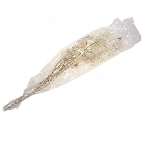 Artikel Lunaria gedroogde bloemen maanviolet zilverblad gedroogd 60-80cm 30g