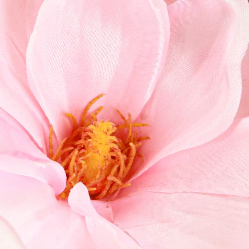 Artikel Magnolia Roze Kunstbloem Kunstbloem Tak H40cm 2st