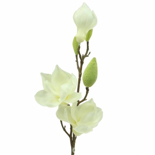 Floristik24 Magnolia Real Touch Wit 70cm