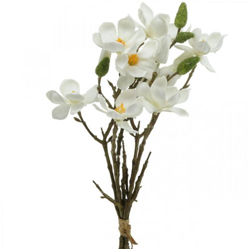 Floristik24 Magnolia kunst takken witte deco tak H40cm 4st in bos