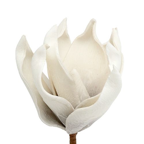 Artikel Magnolia bloesem gemaakt van schuim grijs, wit Ø10cm L26cm 4st