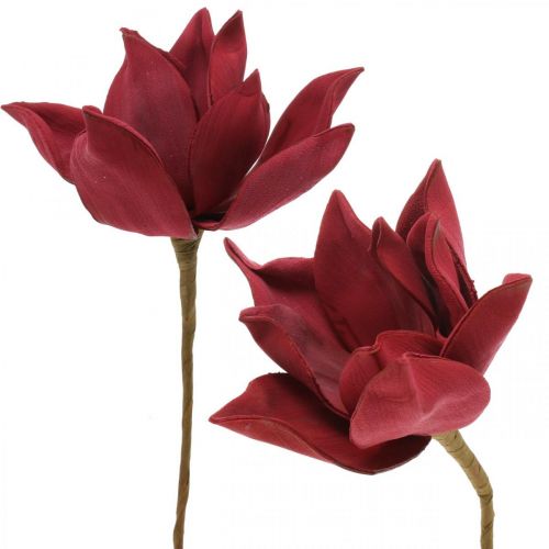 Floristik24 Kunstmatige magnolia rode kunstbloem foam bloemdecoratie Ø10cm 6st