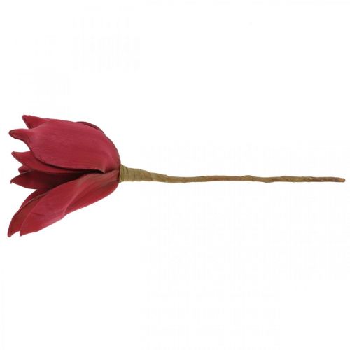 Floristik24 Kunst Magnolia Rode Kunstbloem Foam Bloemdecoratie Ø10cm 6st