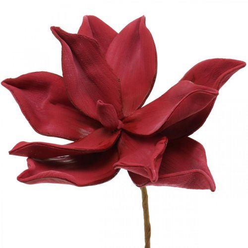Floristik24 Kunst Magnolia Rode Kunstbloem Foam Bloemdecoratie Ø10cm 6st