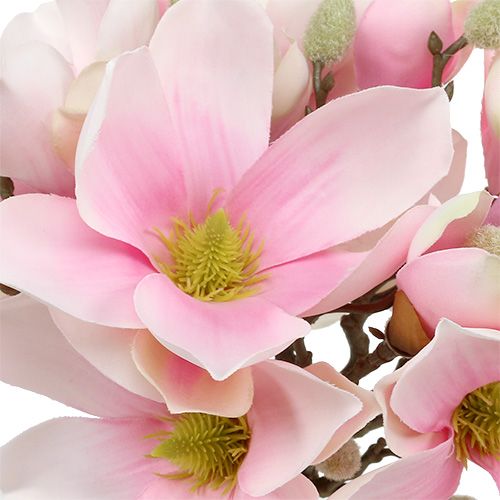Floristik24 Magnolia bos roze 40cm 5st