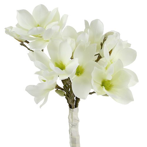 Floristik24 Magnolia bos wit 40cm 5st