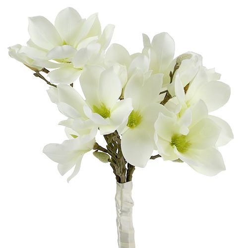 Artikel Magnolia bos wit 40cm 5st