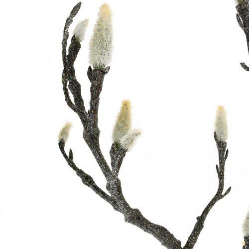 Floristik24 Lente Magnolia Tak Knop Kunsttak Bruin Wit L100cm