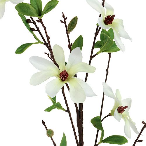 Artikel Magnolia tak witgroen 94cm